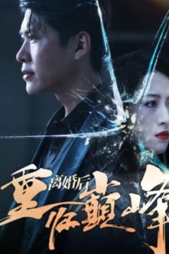 离婚后重回人生巅峰