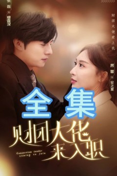 财团大佬来入职