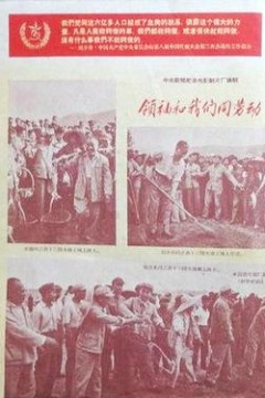 领袖和我们同劳动