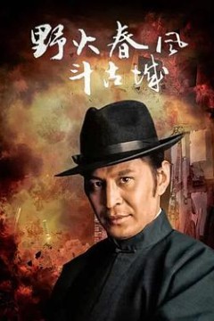 野火春风斗古城1995