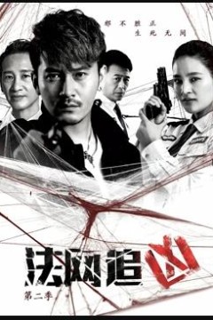 法网追凶第二季