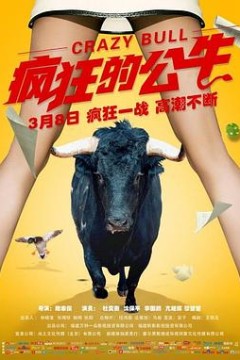 疯狂的公牛