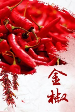 金椒