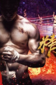 精武之拳战江湖