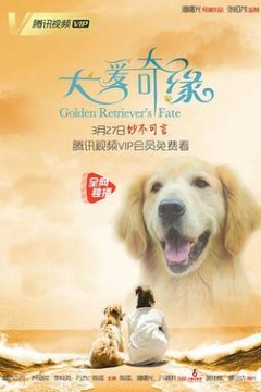 犬爱奇缘