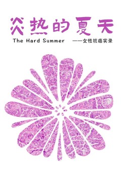 炎热的夏天