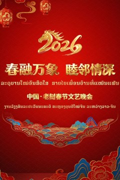 春融万象睦邻情深2026中国老挝春