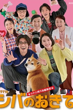 柴犬的规矩～我们这群狗痴编辑部