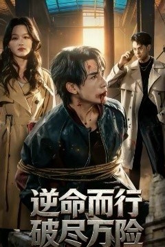 逆命而行破尽万险