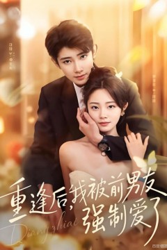 重逢后，我被前男友强制爱了