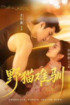 野猫难驯