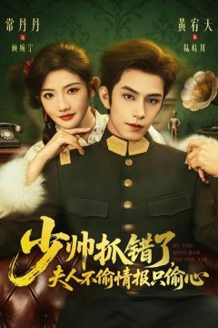 少帅抓错了，夫人不偷情报只偷心