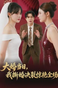 大婚当日，我撕婚决裂惊艳全场