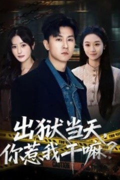 出狱当天，你惹我干嘛？(出狱当天你惹我干嘛)