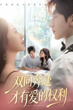 双向奔赴才有爱的权利