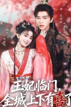 王妃临门全城上下有喜了