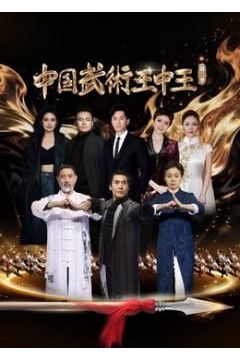 中国武术王中王第二季
