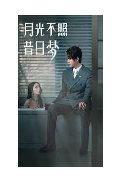 月光不照昔日梦