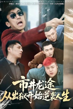 市井龙途从出狱开始逆袭人生