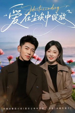 爱在尘埃中绽放