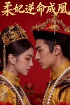 柔妃逆命成凰