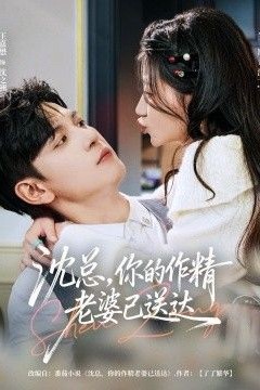 沈总，你的作精老婆已送达