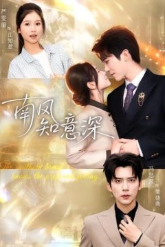 南风知意深