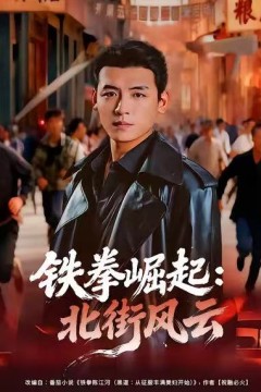 铁拳崛起：北街风云