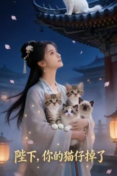 陛下，你的猫仔掉了