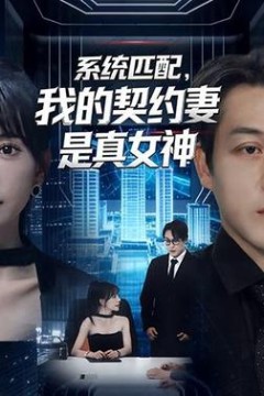 系统匹配，我的契约妻是真女神