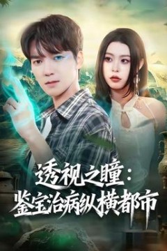 透视之瞳：鉴宝治病纵横都市