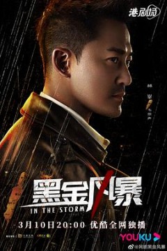 黑金风暴粤语版