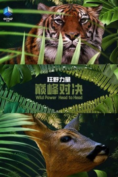 狂野的力量：巅峰对决第一季