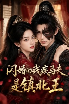 闪婚的残疾马夫是镇北王