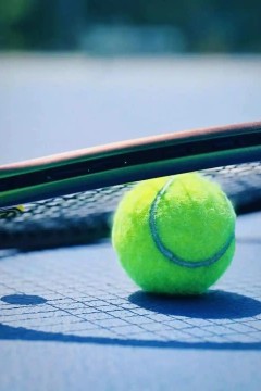 WTA500华盛顿站女单第一轮：波塔波娃VS大威廉姆斯