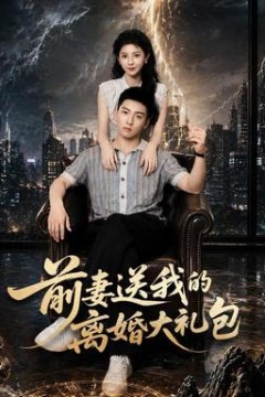 前妻送我的离婚大礼包