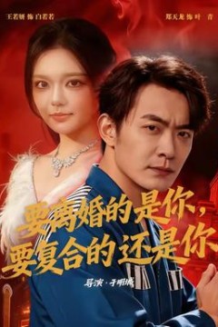 要离婚的是你，要复合的还是你