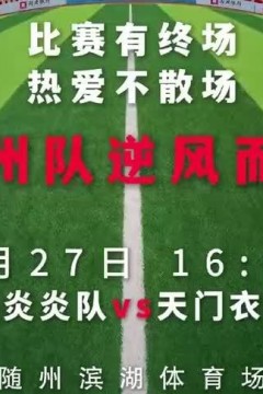 2026湖北省城市足球联赛第17轮全场回放：随州炎炎vs天门衣尚