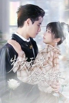 岁岁无晚，念念皆琛