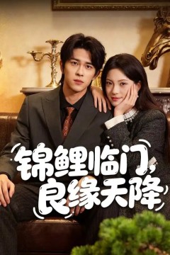 锦鲤临门，良缘天降