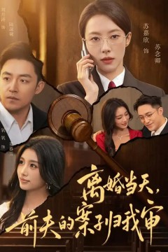 离婚当天，前夫的案子归我审