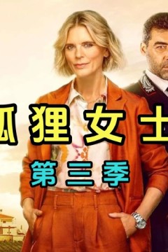 狐狸女士第三季